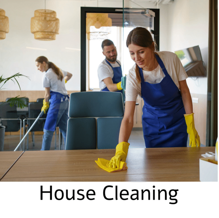House Cleaning