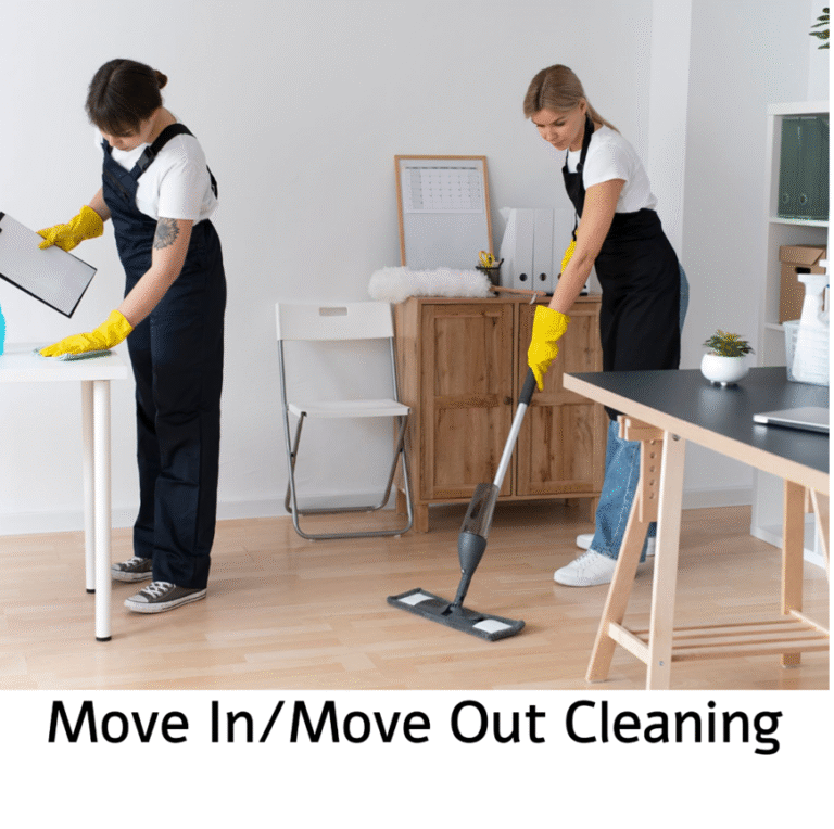Move In Out Cleaning